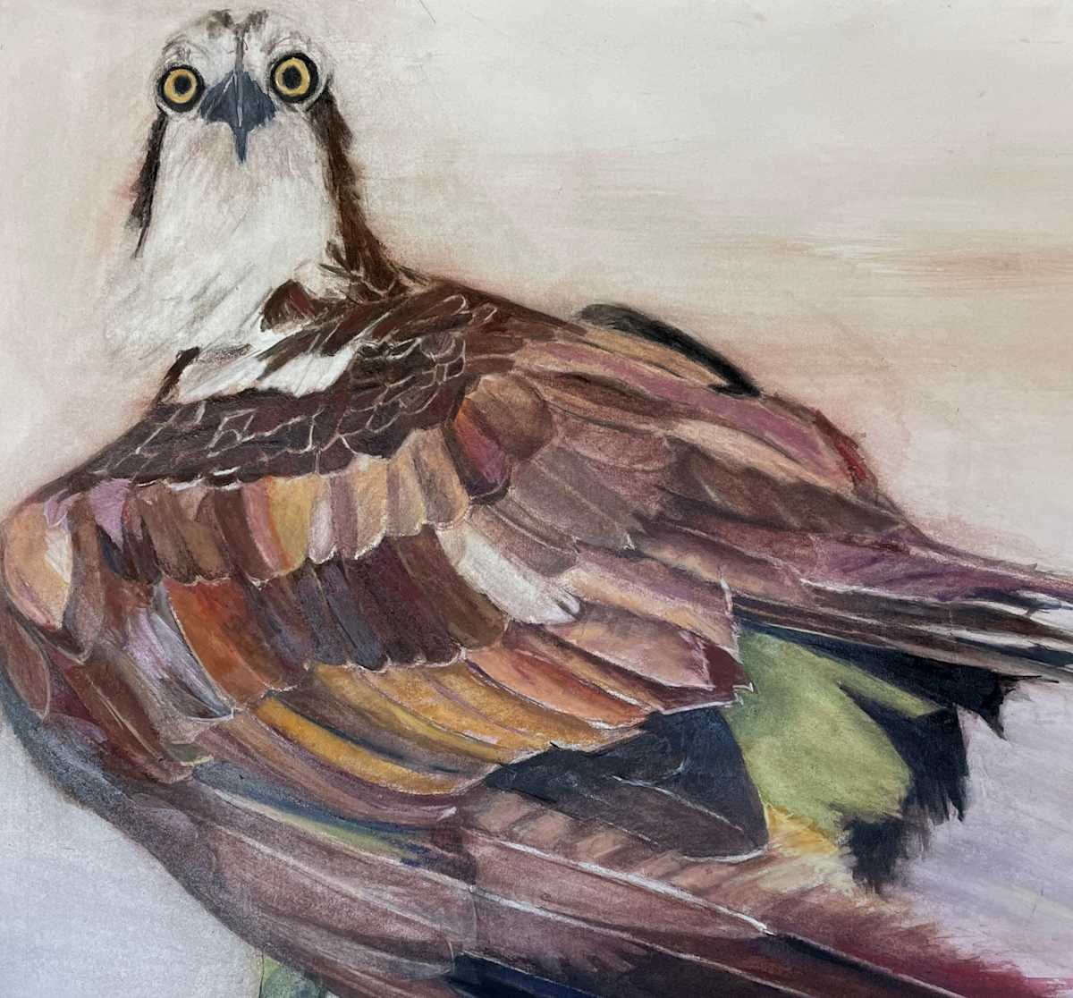 Standing Osprey by Jeanne Goodman 