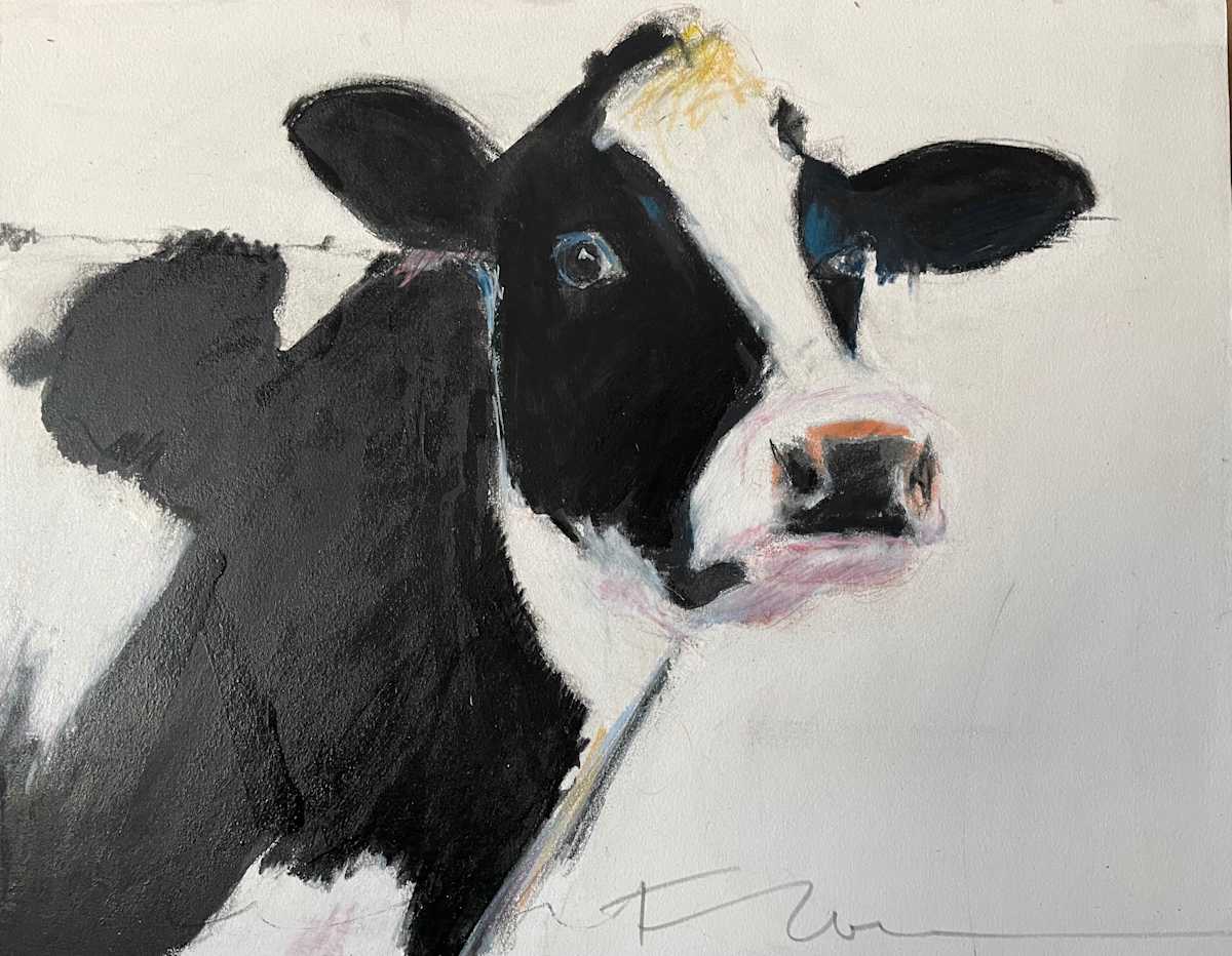 Big cow looking out by Jeanne Goodman 