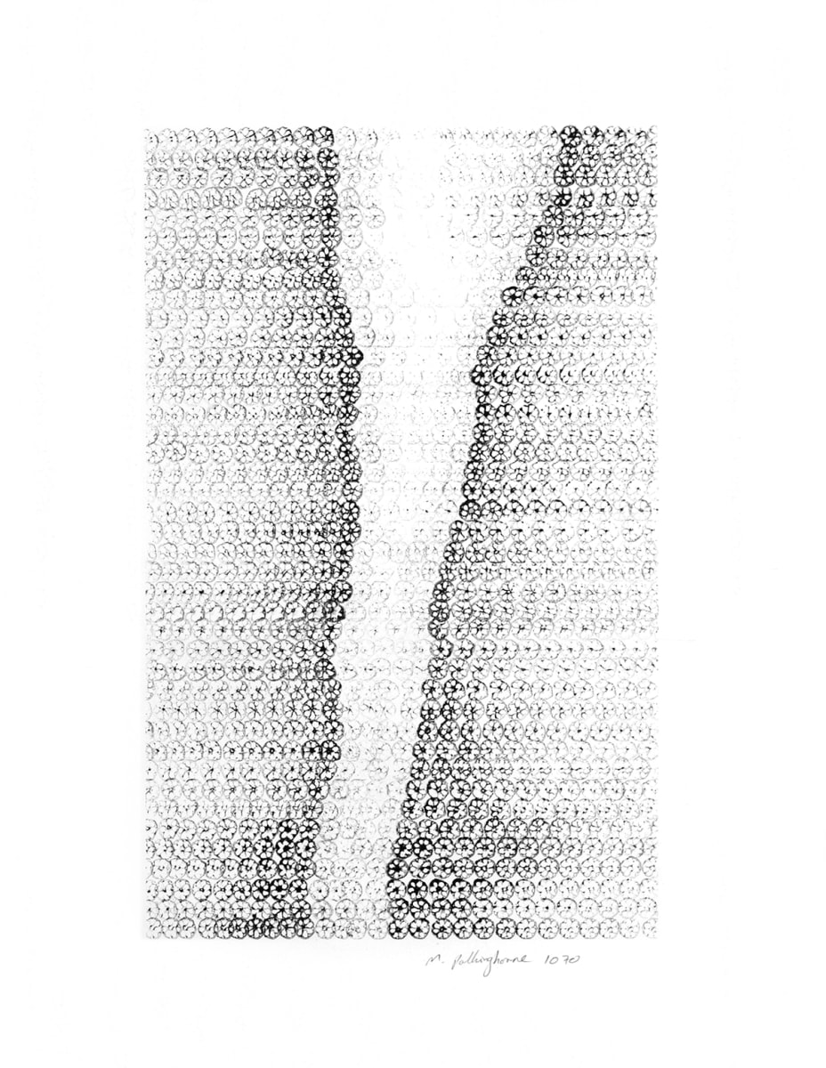 Fleuve ២ 1070 by Morrison Polkinghorne, Image 2.