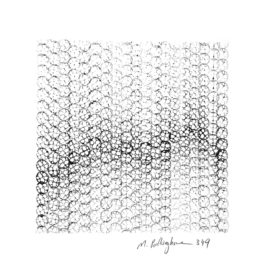 349 lotus impressions by Morrison Polkinghorne, Image 2.