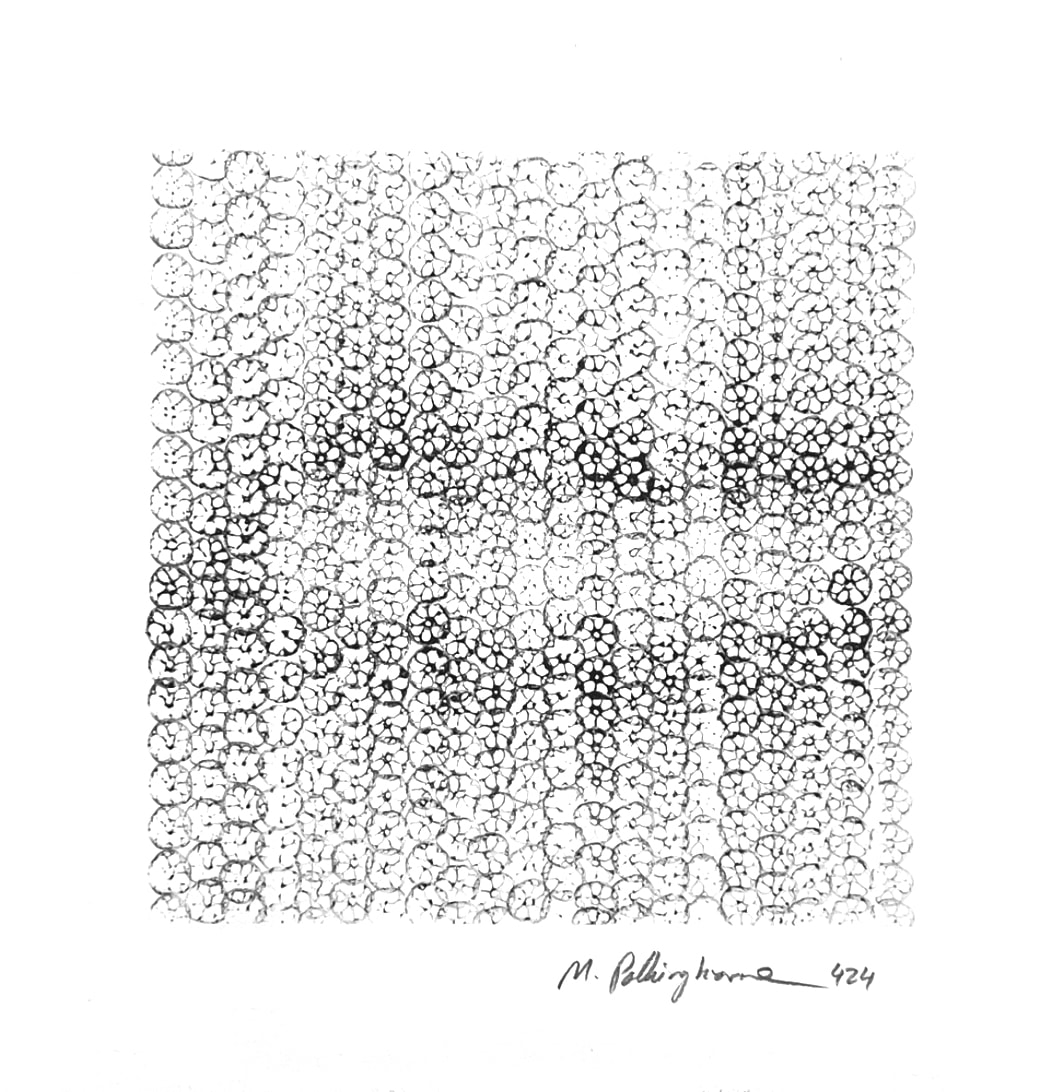 424 lotus impressions by Morrison Polkinghorne, Image 2.