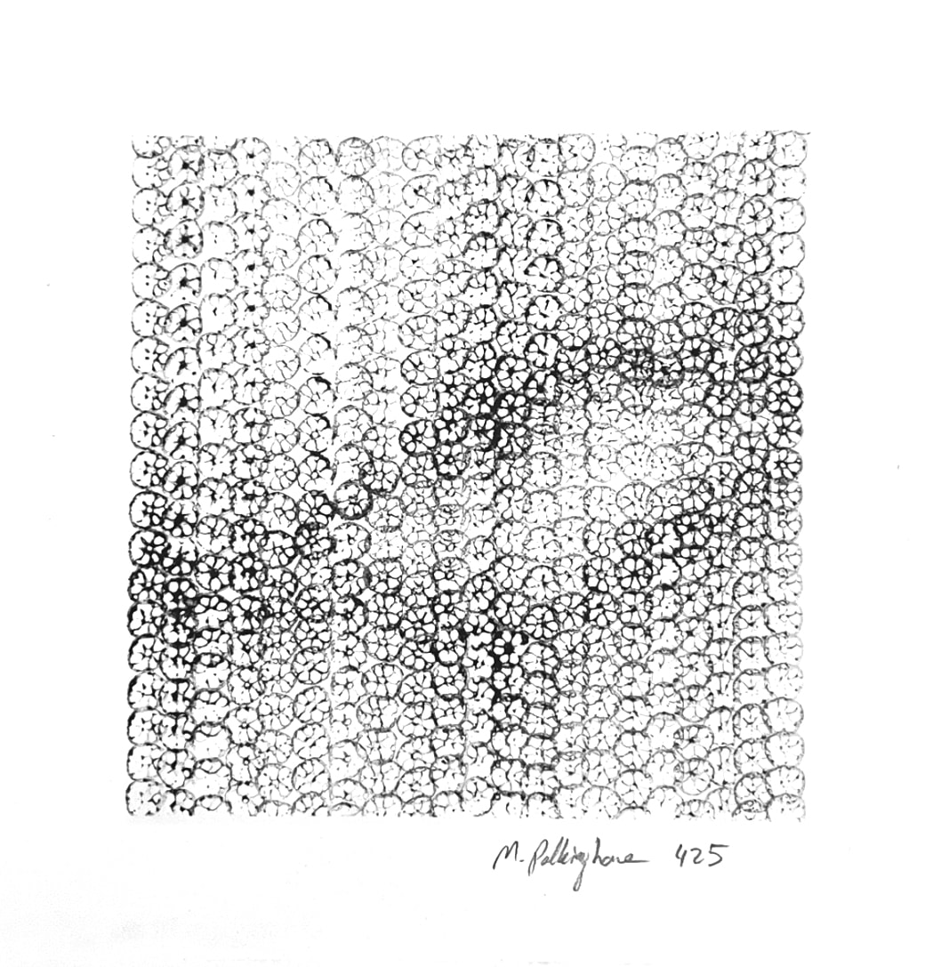425 Lotus impressions by Morrison Polkinghorne, Image 2.