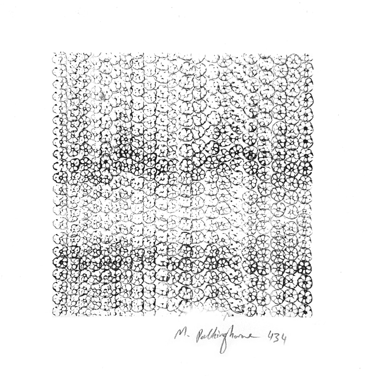 434 lotus impressions by Morrison Polkinghorne, Image 2.