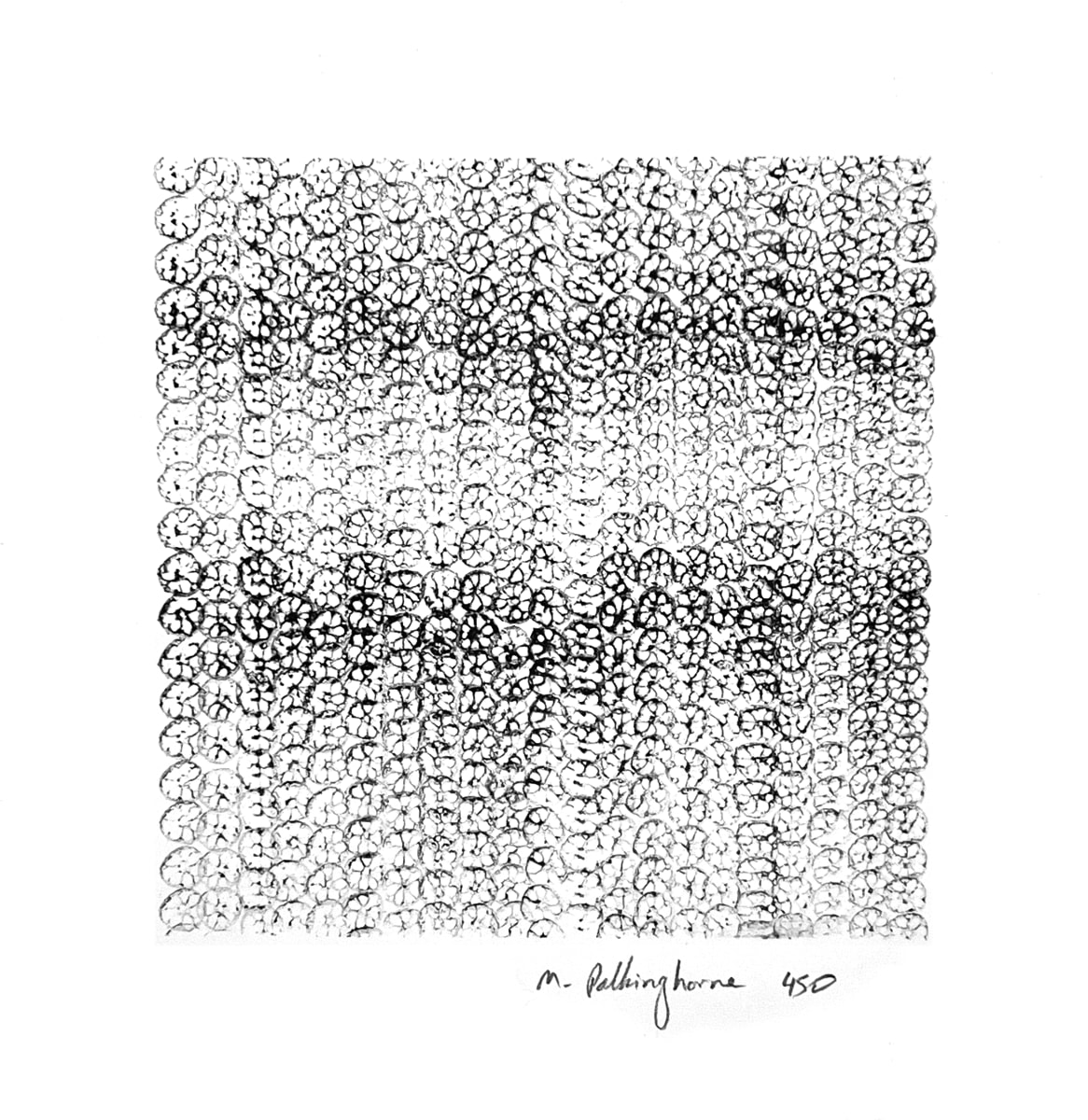 450 lotus impressions by Morrison Polkinghorne, Image 2.