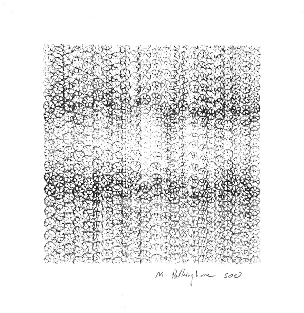 500 lotus impressions by Morrison Polkinghorne, Image 2.