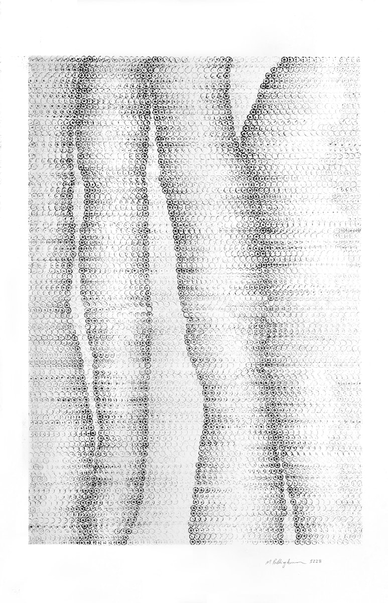 Three river delta #5 5228 by Morrison Polkinghorne, Image 1.