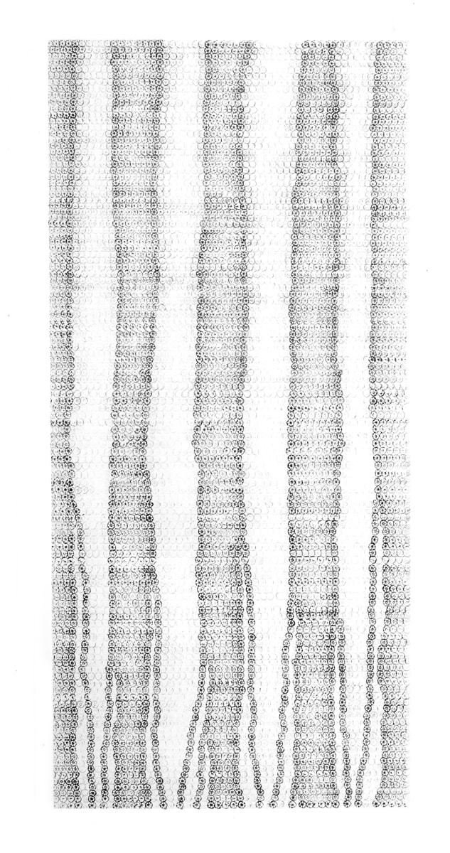 Racines 6673 by Morrison Polkinghorne, Image 1.