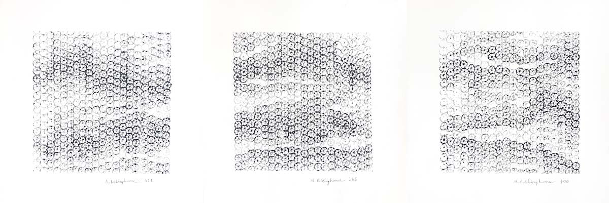 Three Squared, 1194 lotus impressions by Morrison Polkinghorne, Image 1.