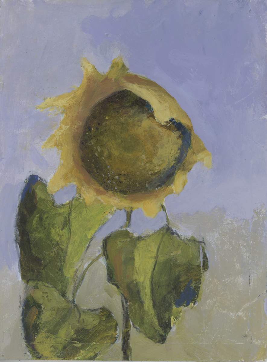 Small Sunflower by Katy McCarrick 