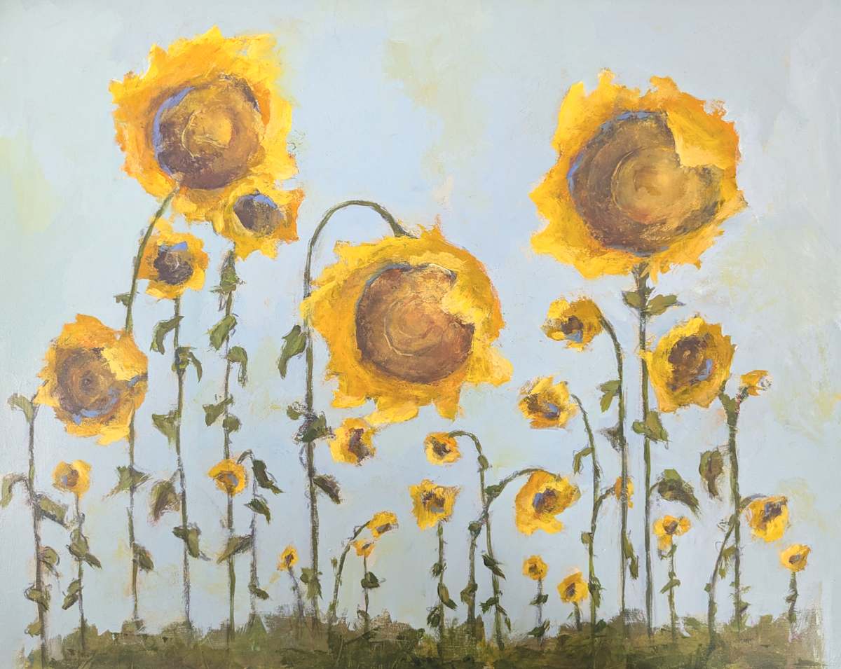Sunflower Field by Katy McCarrick 