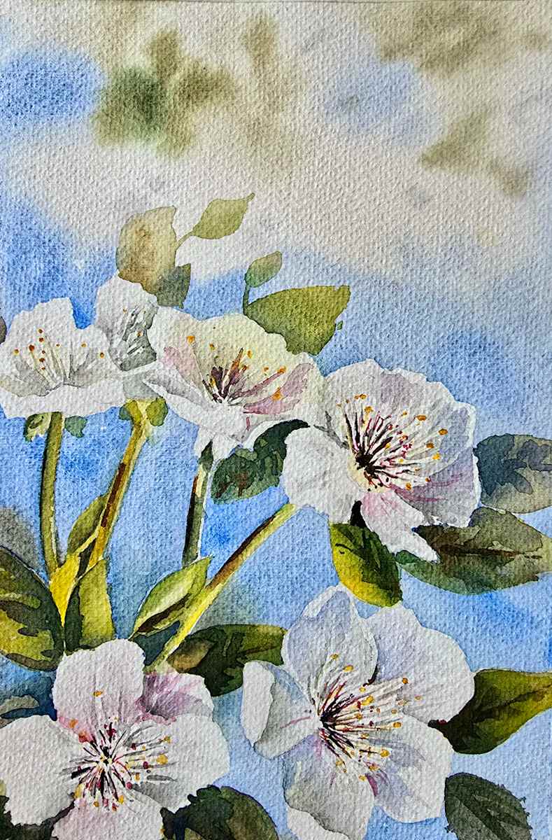 Spring is here I by MARYAM MOHI 