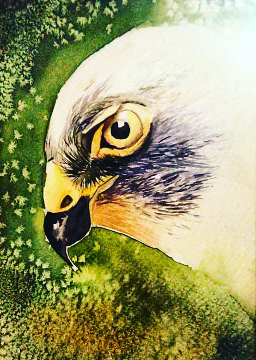 Eagle Eyes by MARYAM MOHI 