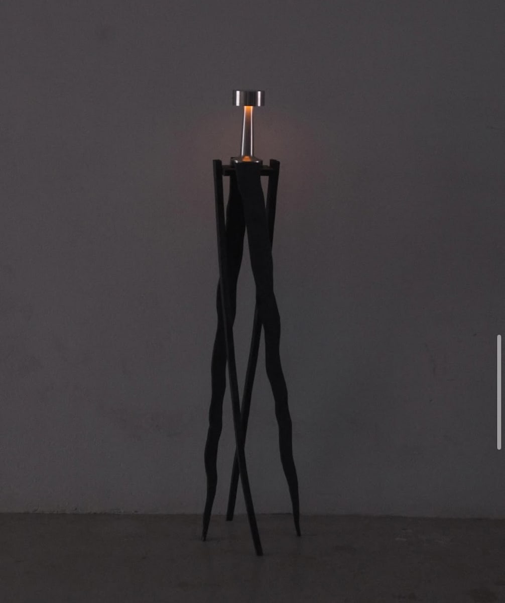 Spider Legs by Diego Santiago 