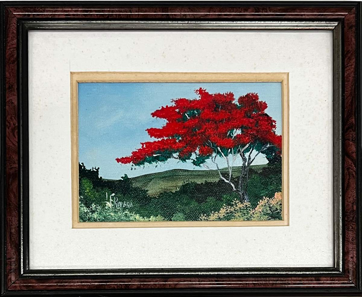 Flamboyan by F. Rivera 