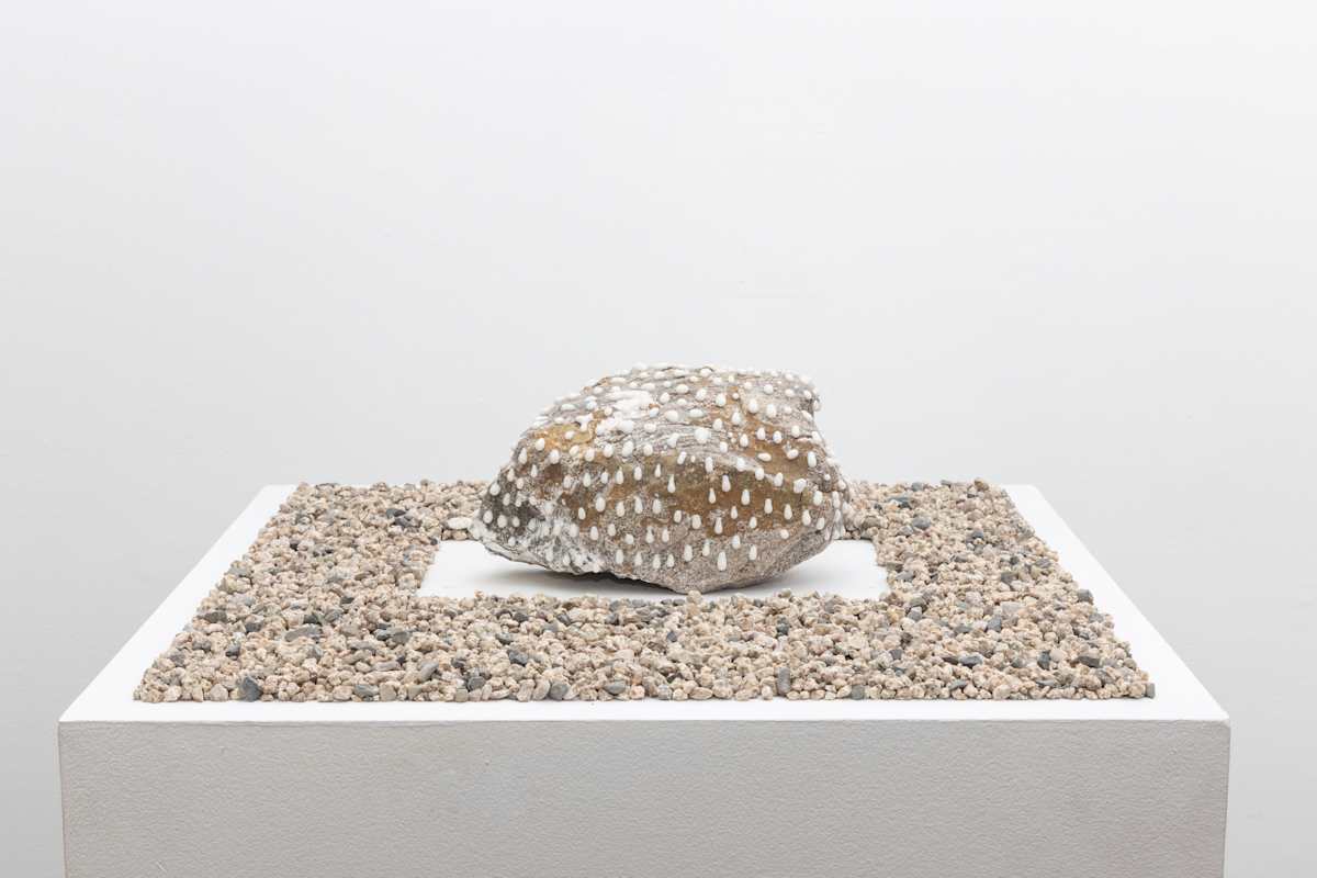 Garden 4 by Nobuhito Nishigawara 