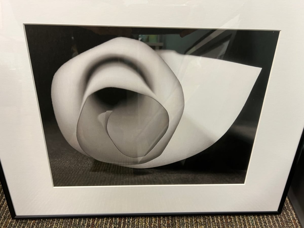 Paper Flower by Daira Gentrup 
