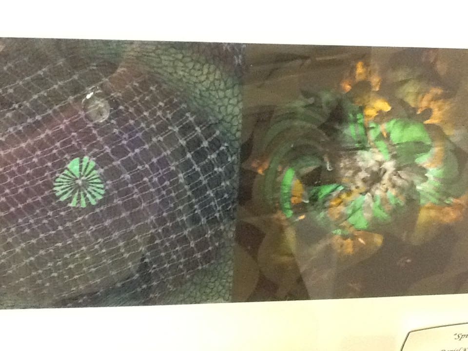 Spiral by Daniel Kokesh 