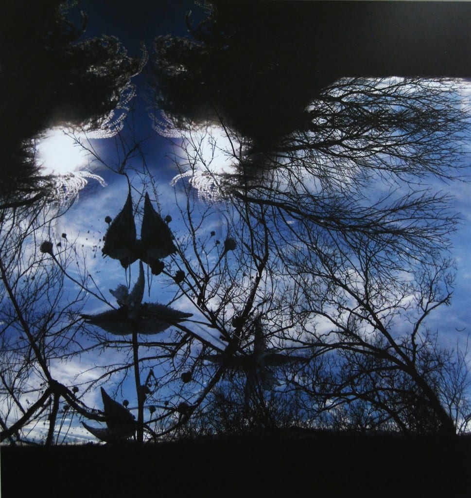 Widnis by Jim Wolf, Image 1.