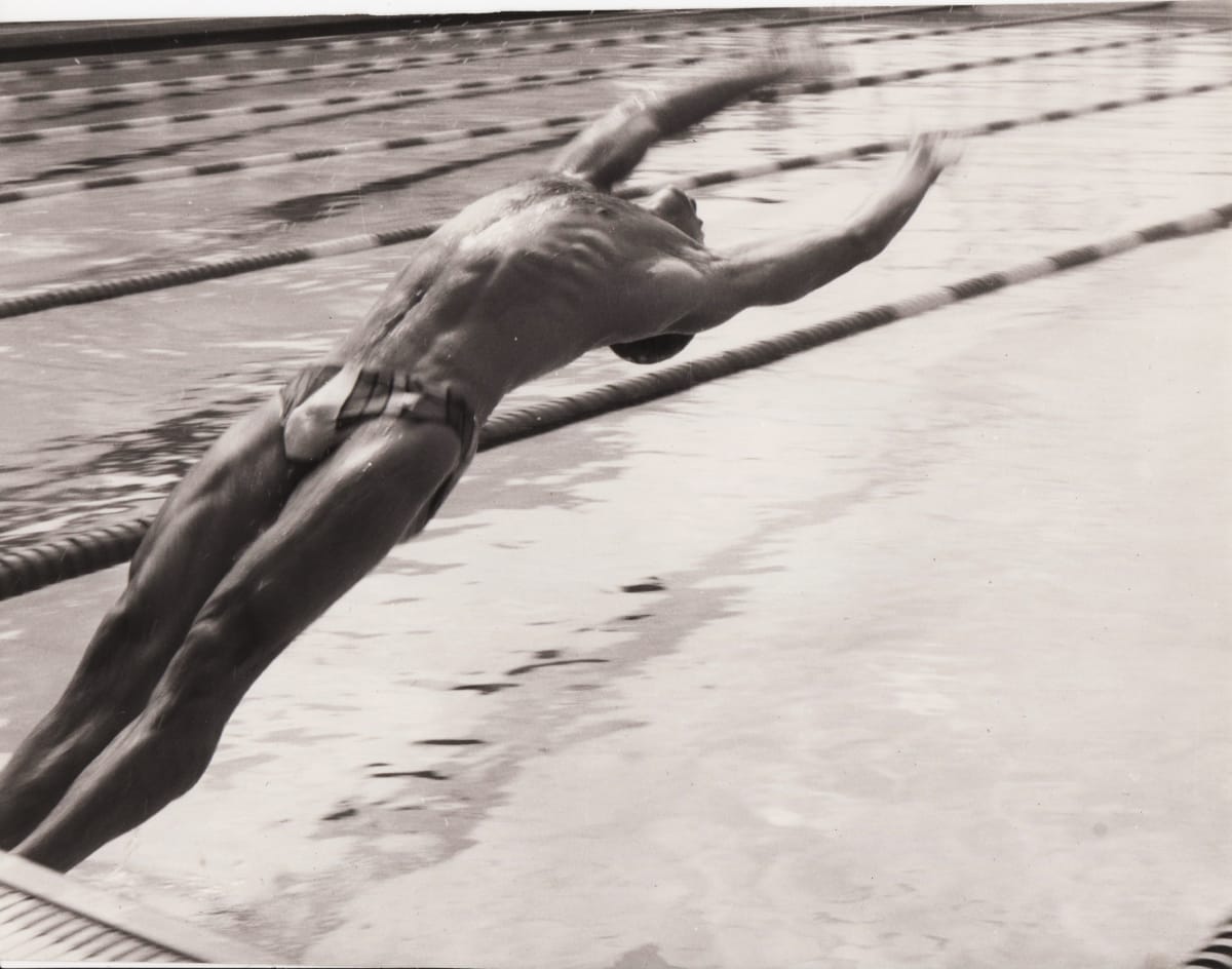 Diver by Nick Aquilino, Image 1.