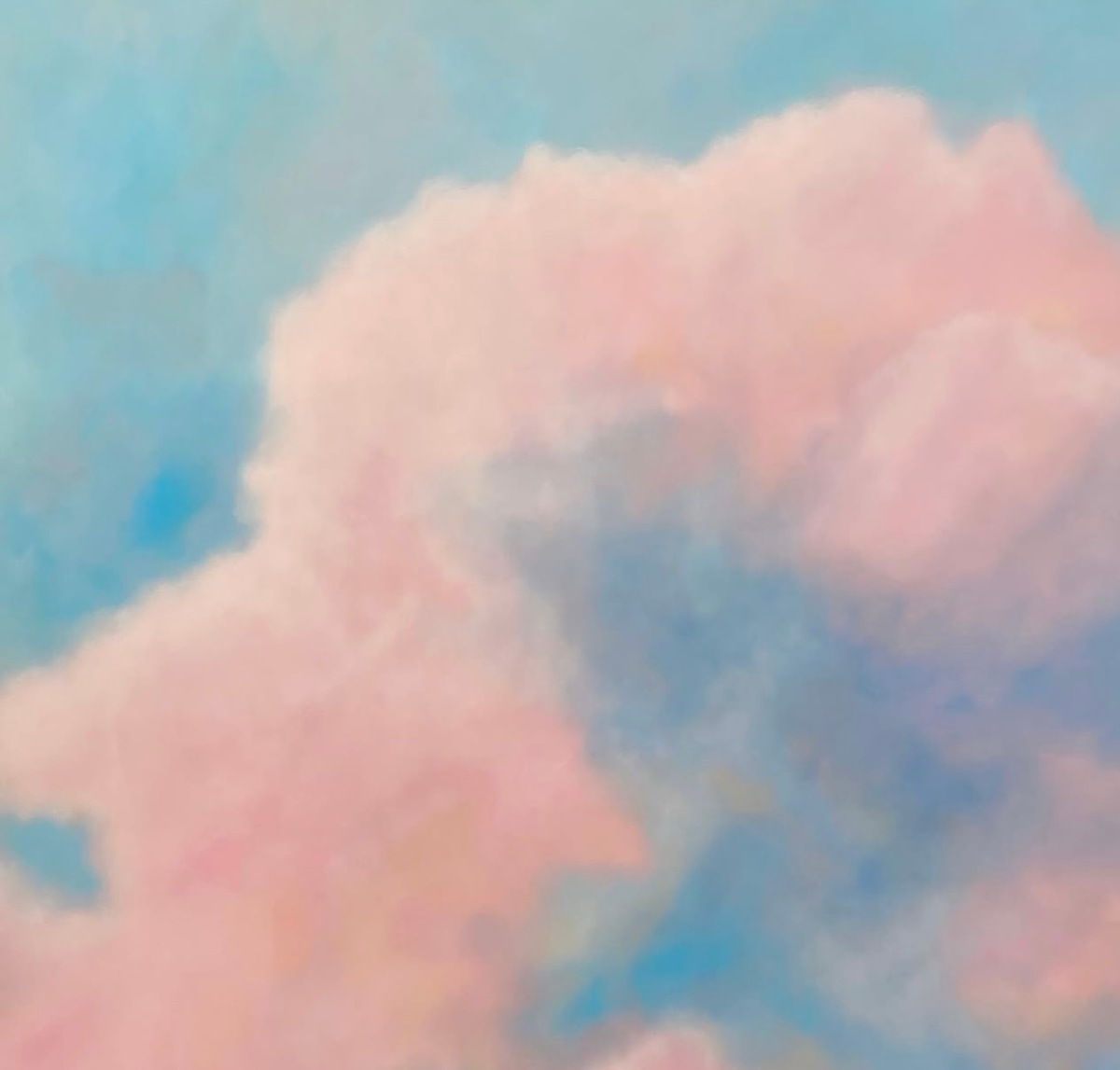 Pink Cloud by Meredith Sevin 