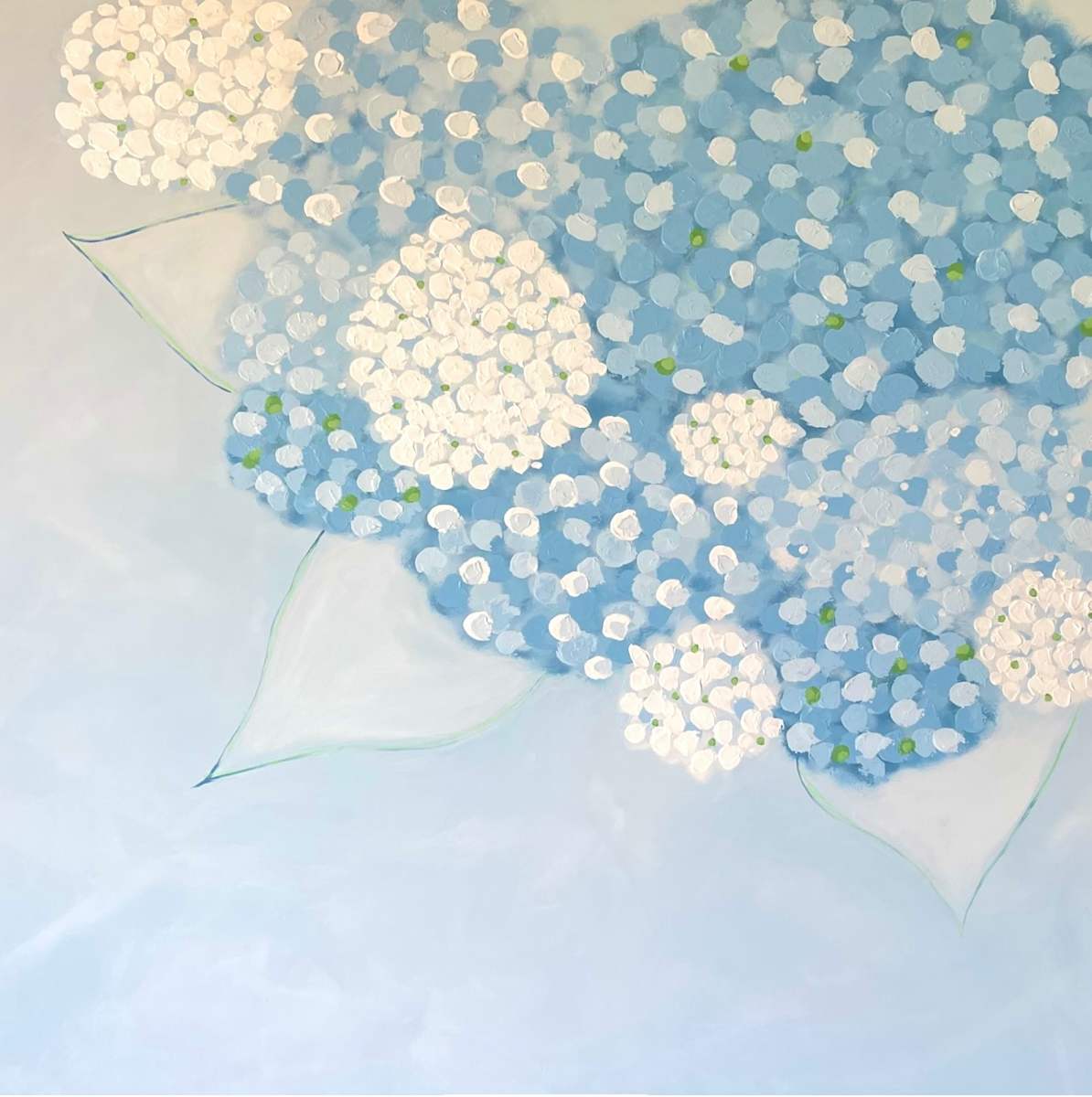 Hydrangea by Meredith Sevin 