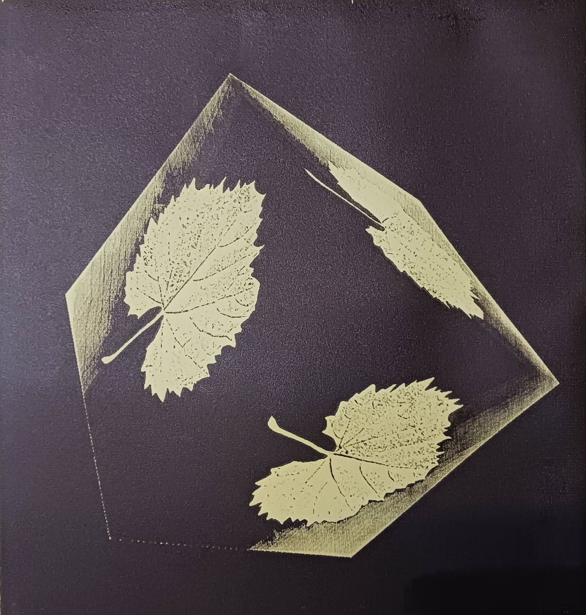 Leaf Cube by dennis gordon 