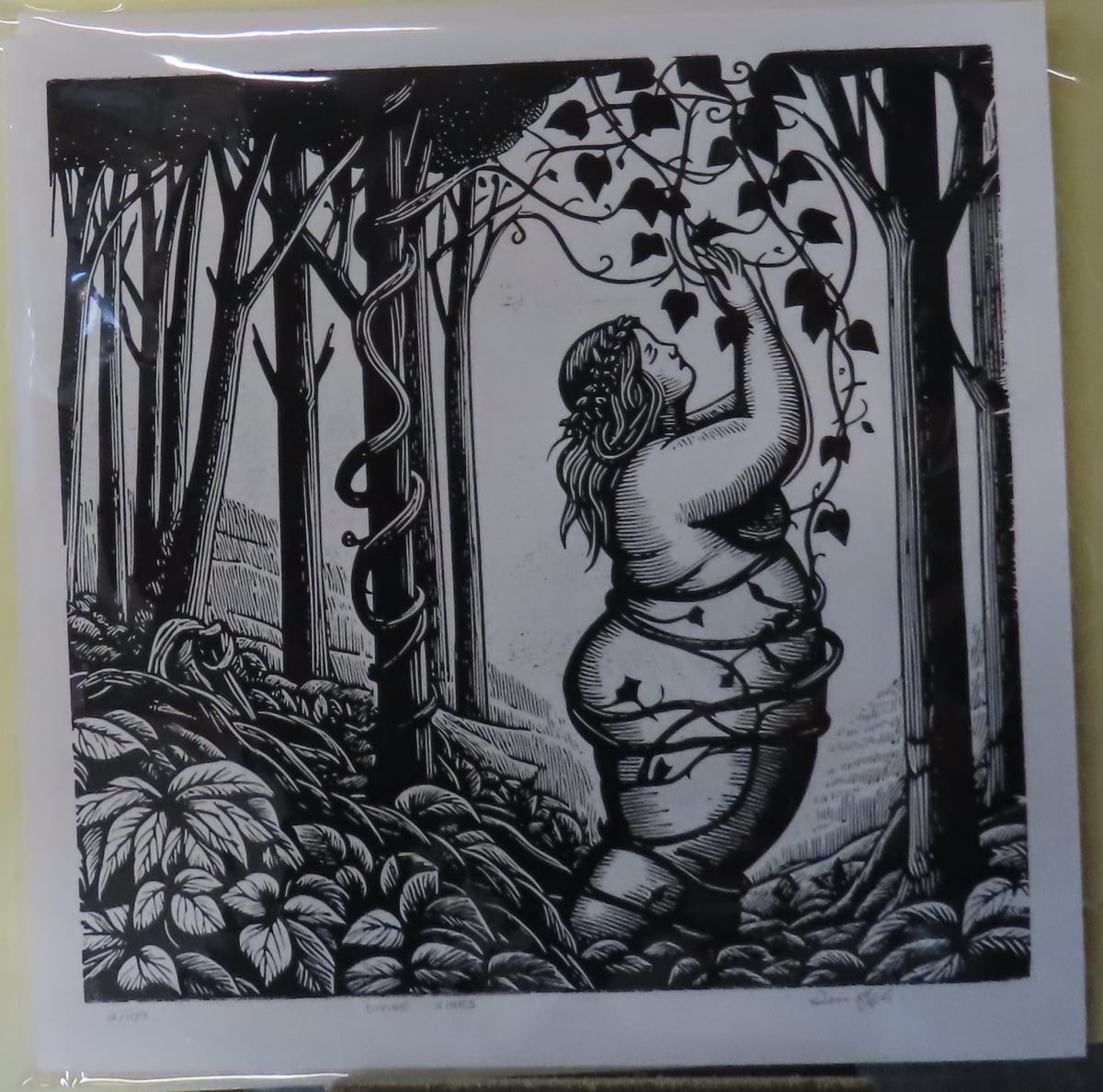 Divine Vines by dennis gordon 