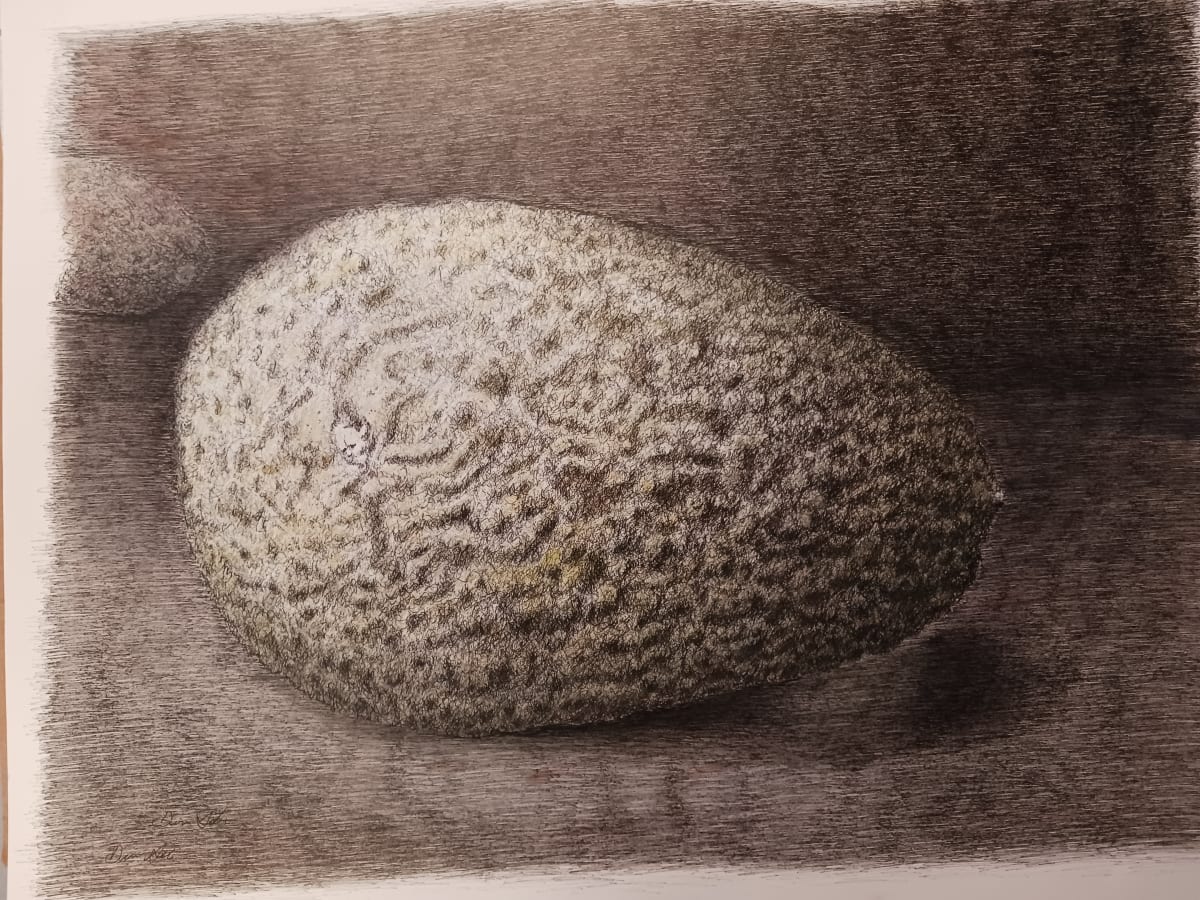 Avocado Devil by dennis gordon 