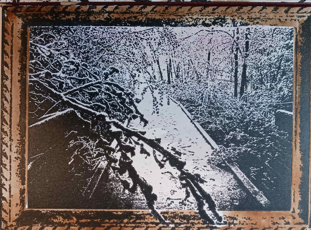 Snowy Branches on Boardwalk by dennis gordon 