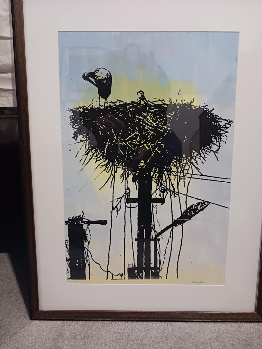 Romanian Storks by dennis gordon 