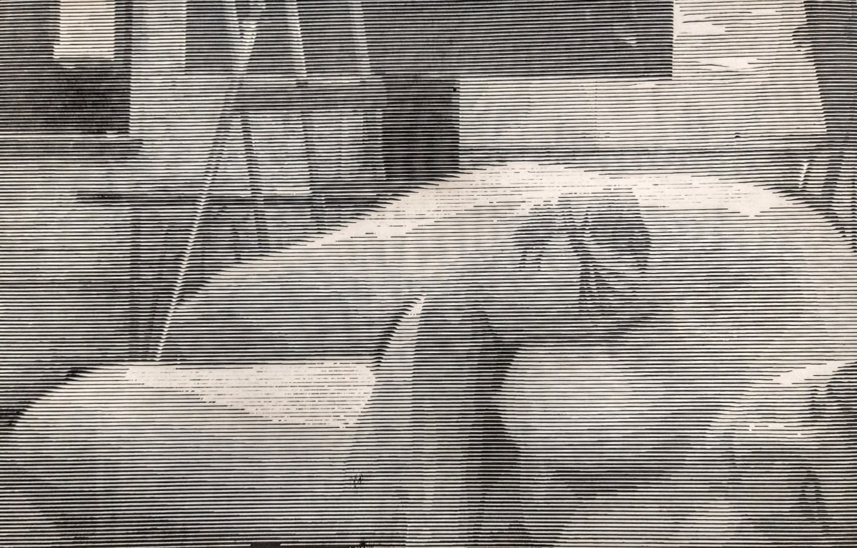 Raven Tattoo by dennis gordon 