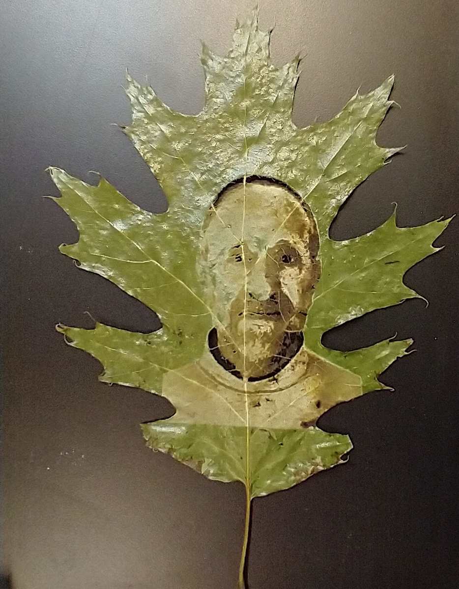 Self Portrait in Oak Leaf by dennis gordon 