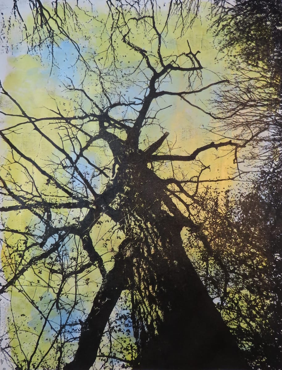 Look Up Iridescent by dennis gordon 