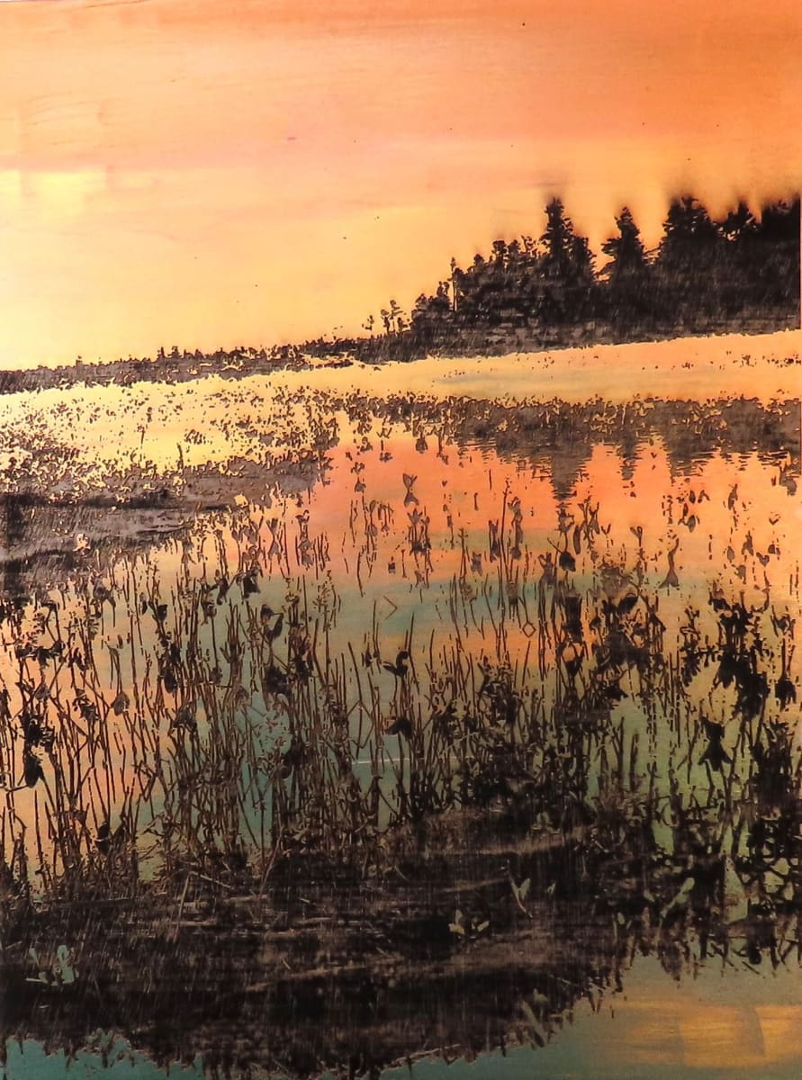 Newfoundland Marsh by dennis gordon  Image: Wood engraving plus iridescent painting