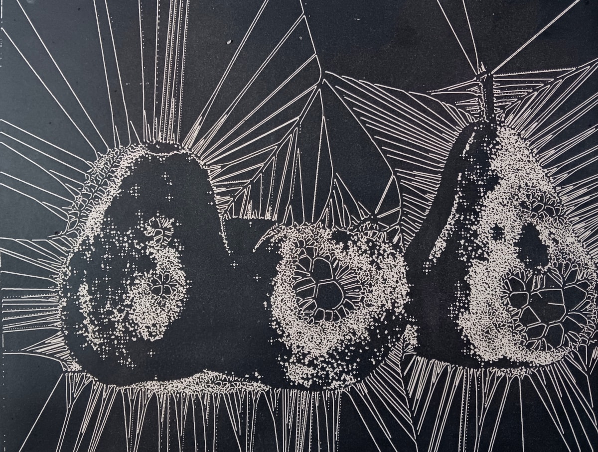 Pears and Apple by dennis gordon 