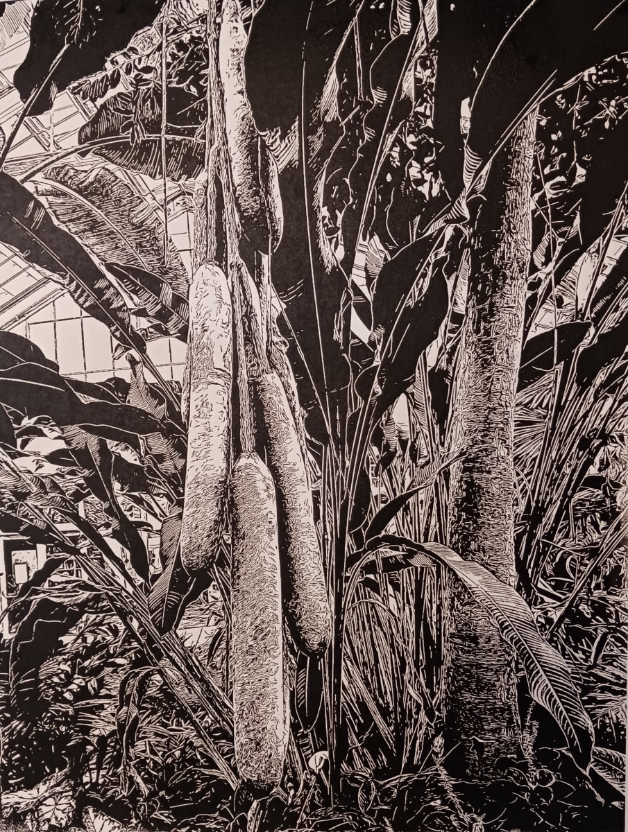 Sausage Tree by dennis gordon, Image 1.