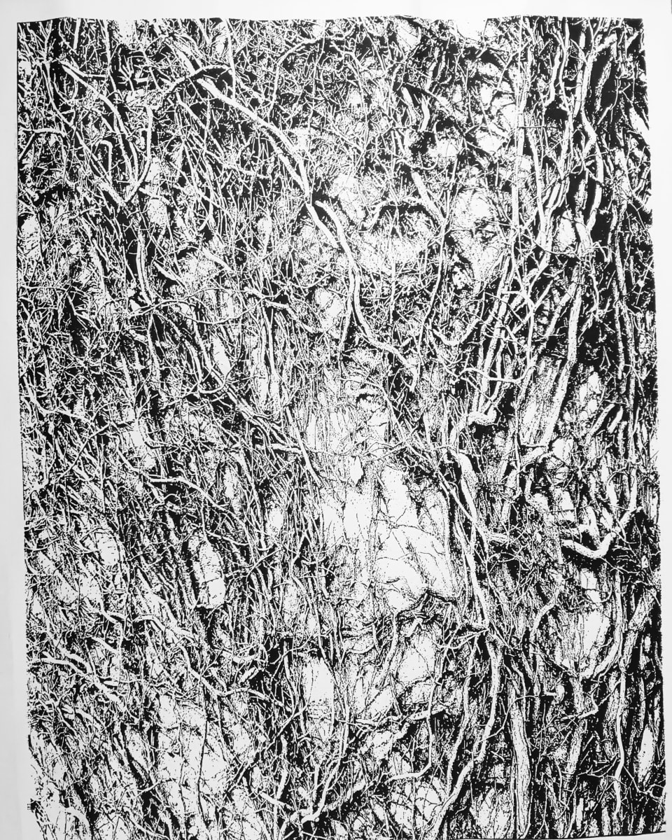 Vines by dennis gordon 