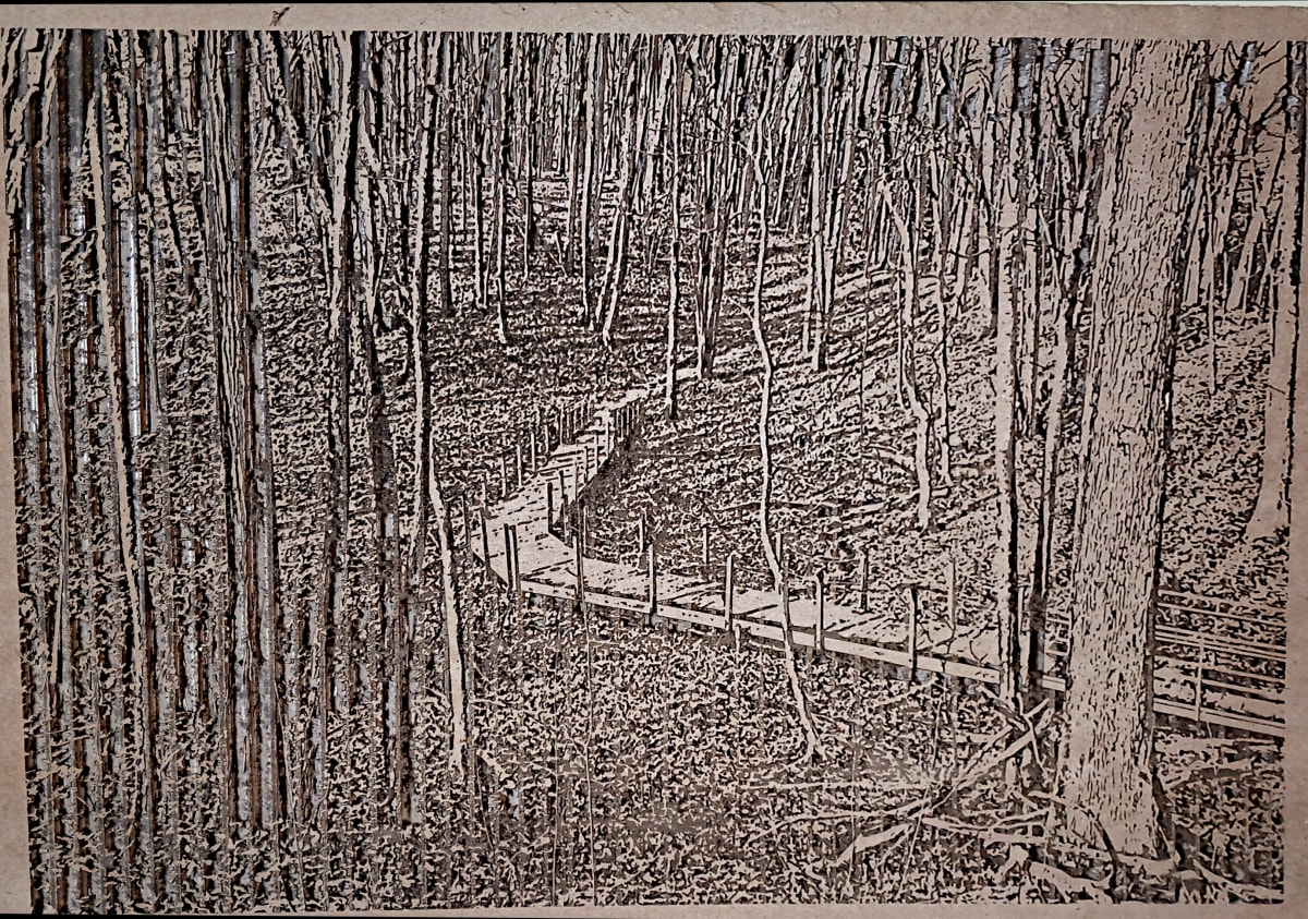 Black Pond Reserve - Cardboard Engraving by dennis gordon  Image: Cardboard Engraving