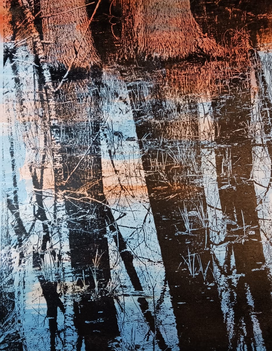 Black Pond Reserve Reflections by dennis gordon 