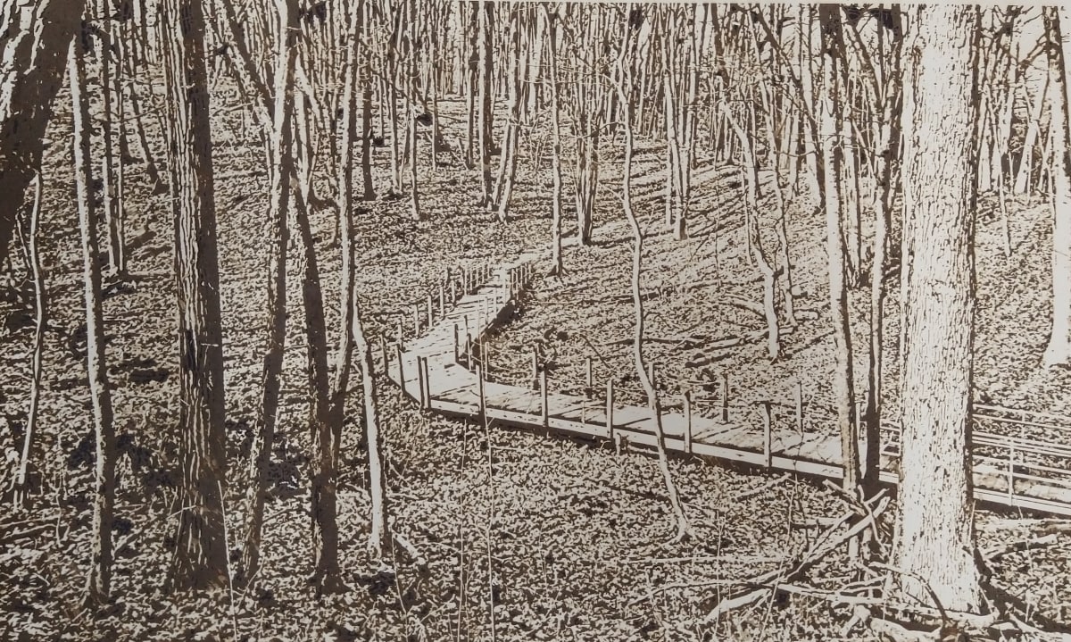 Cherry Hill Papercut by dennis gordon 