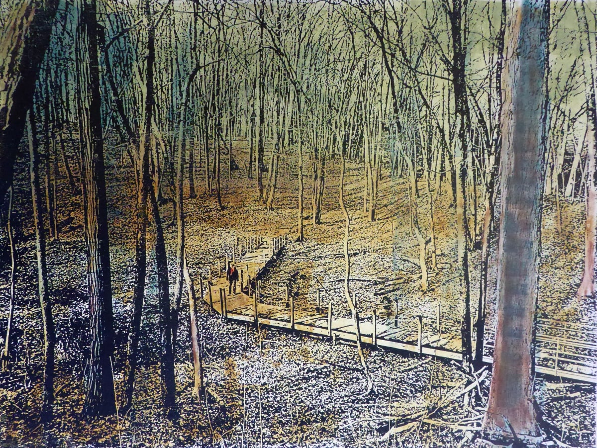 Cherry Hill Preserve by dennis gordon 