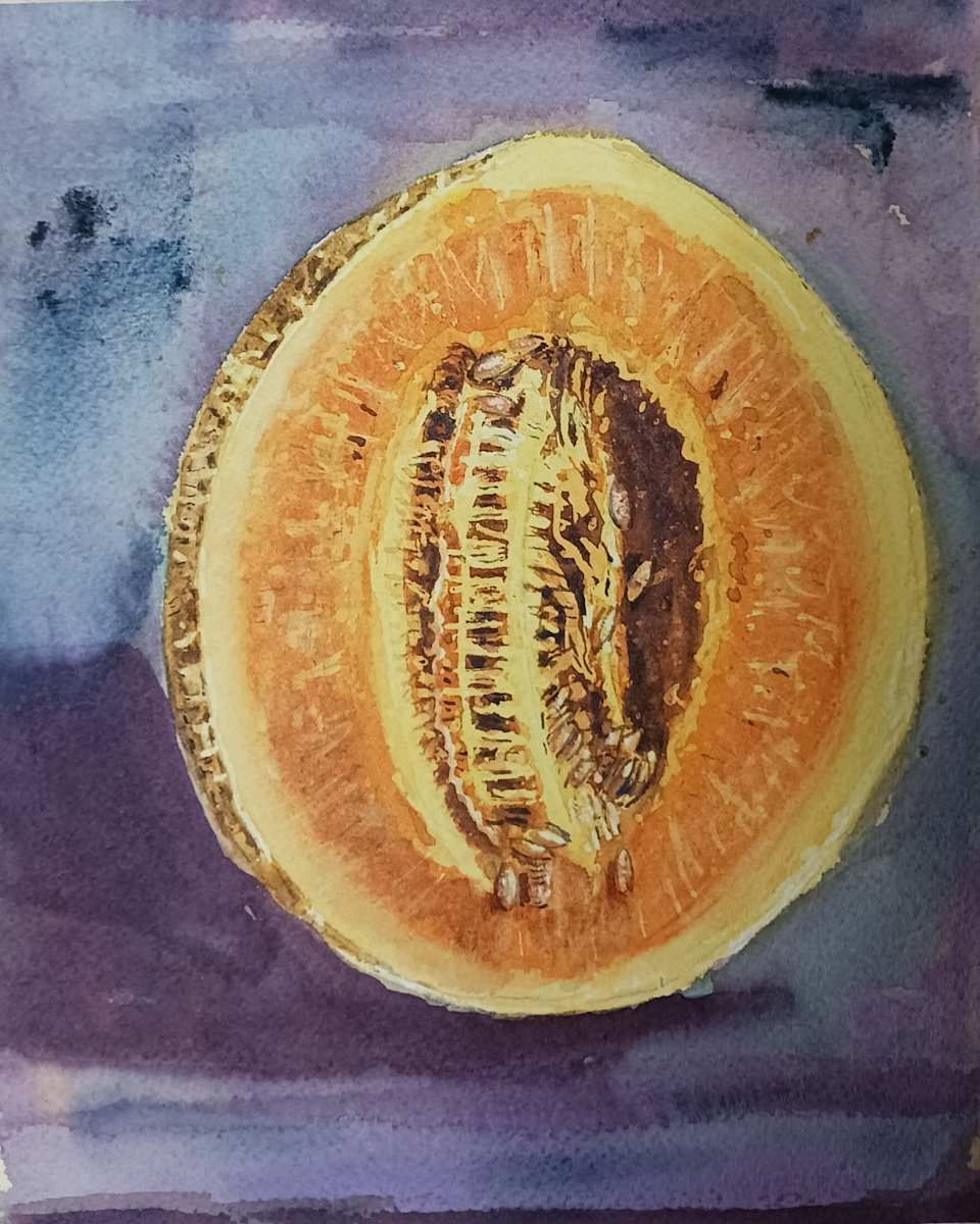 Cantaloupe by dennis gordon 