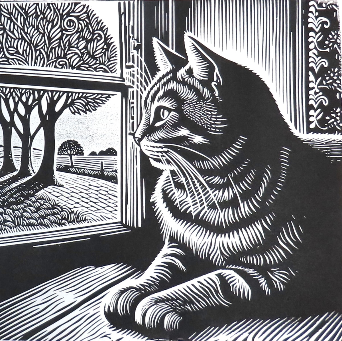 Cat in Window Sill by dennis gordon 