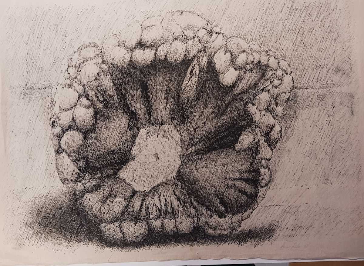 Cauliflower by dennis gordon, Image 1.