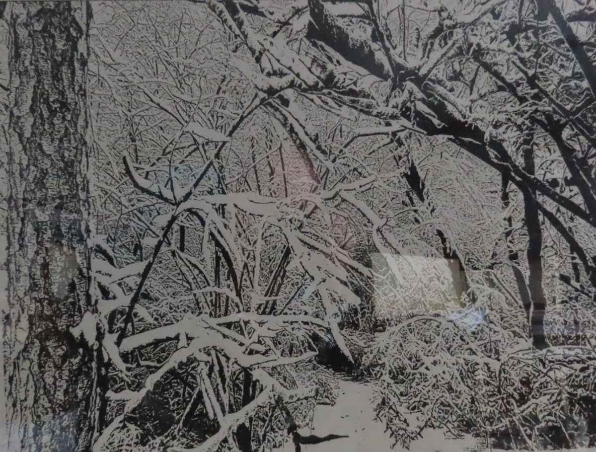 Fresh Snow by dennis gordon, Image 1.