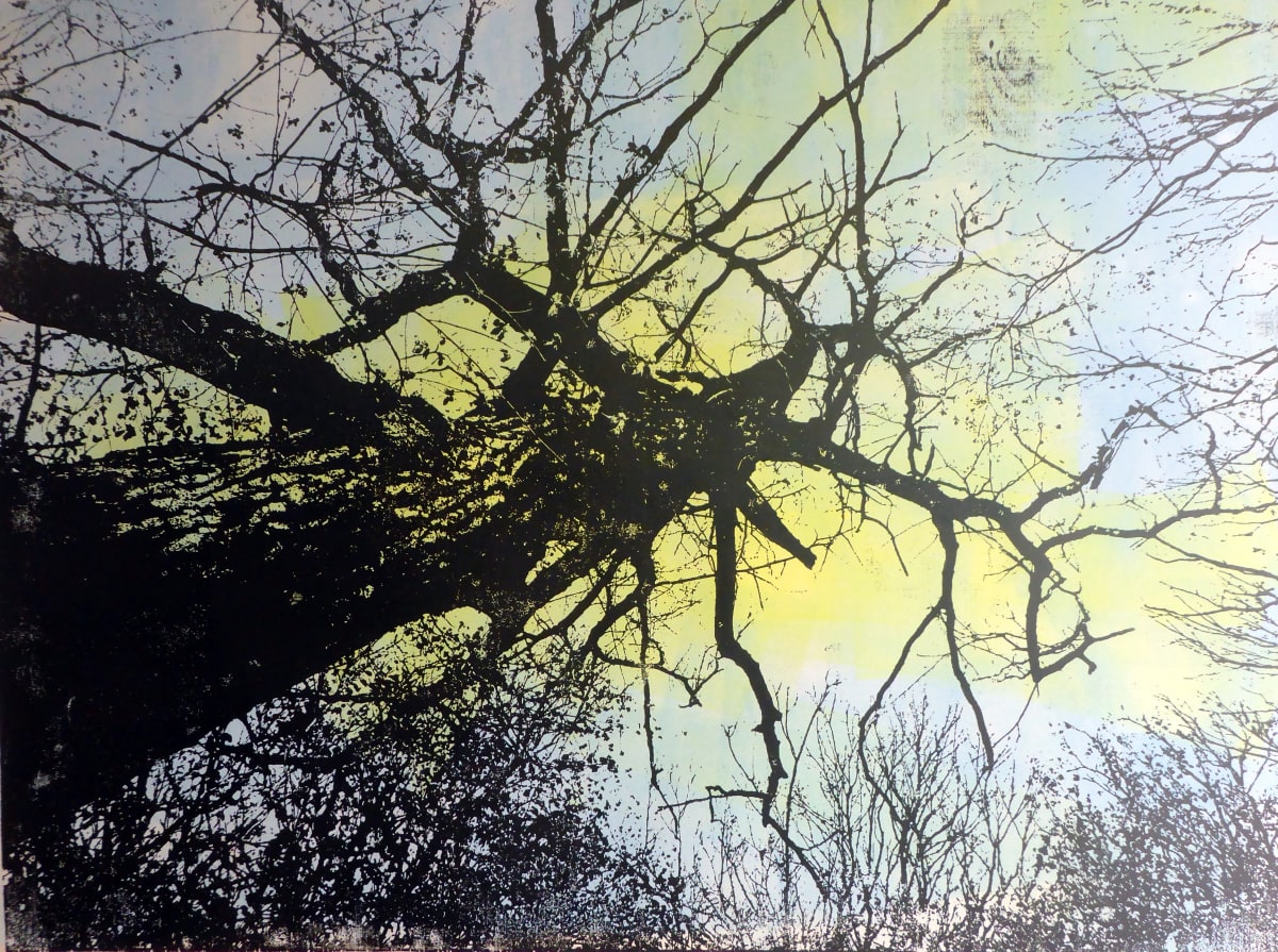 LookUp II by dennis gordon 