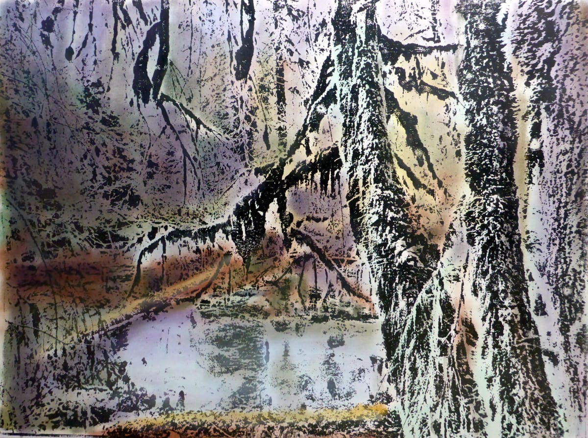 Hoh Rain Forest by dennis gordon 