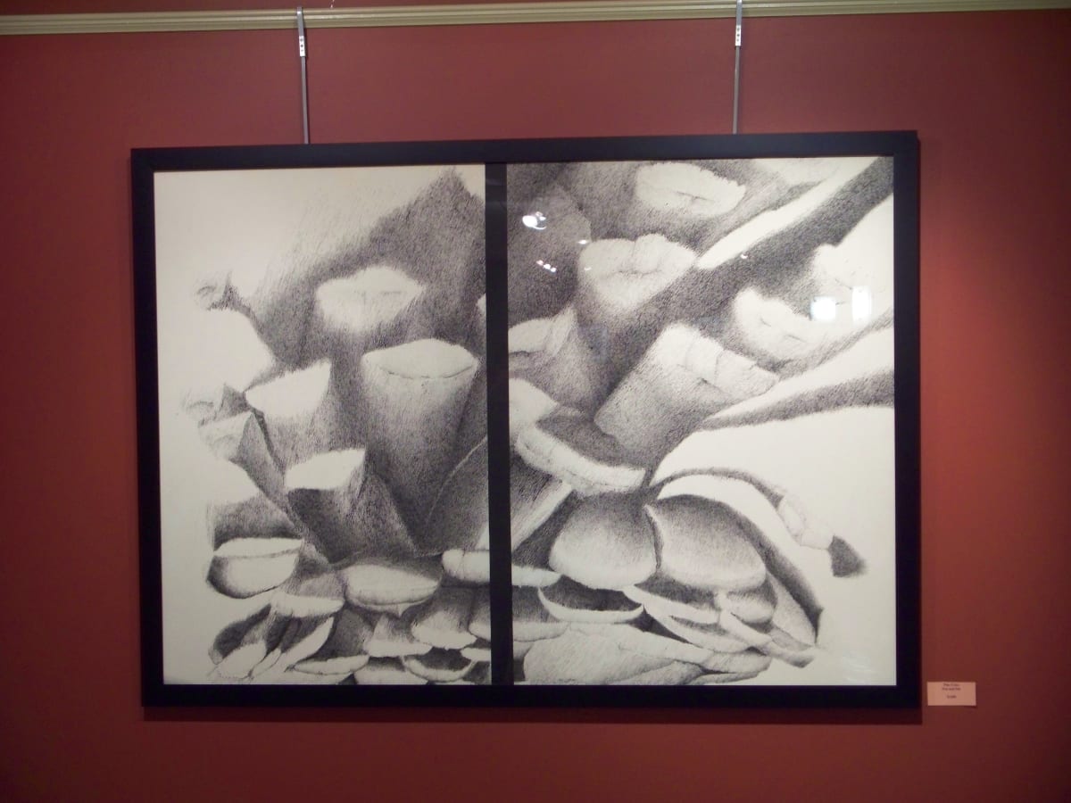 Large Pine Cone by dennis gordon 