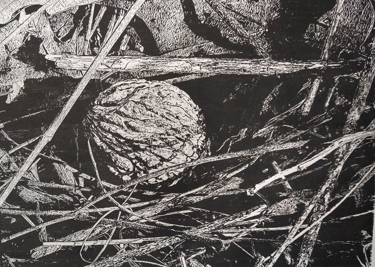 Last Walnut by dennis gordon, Image 1.