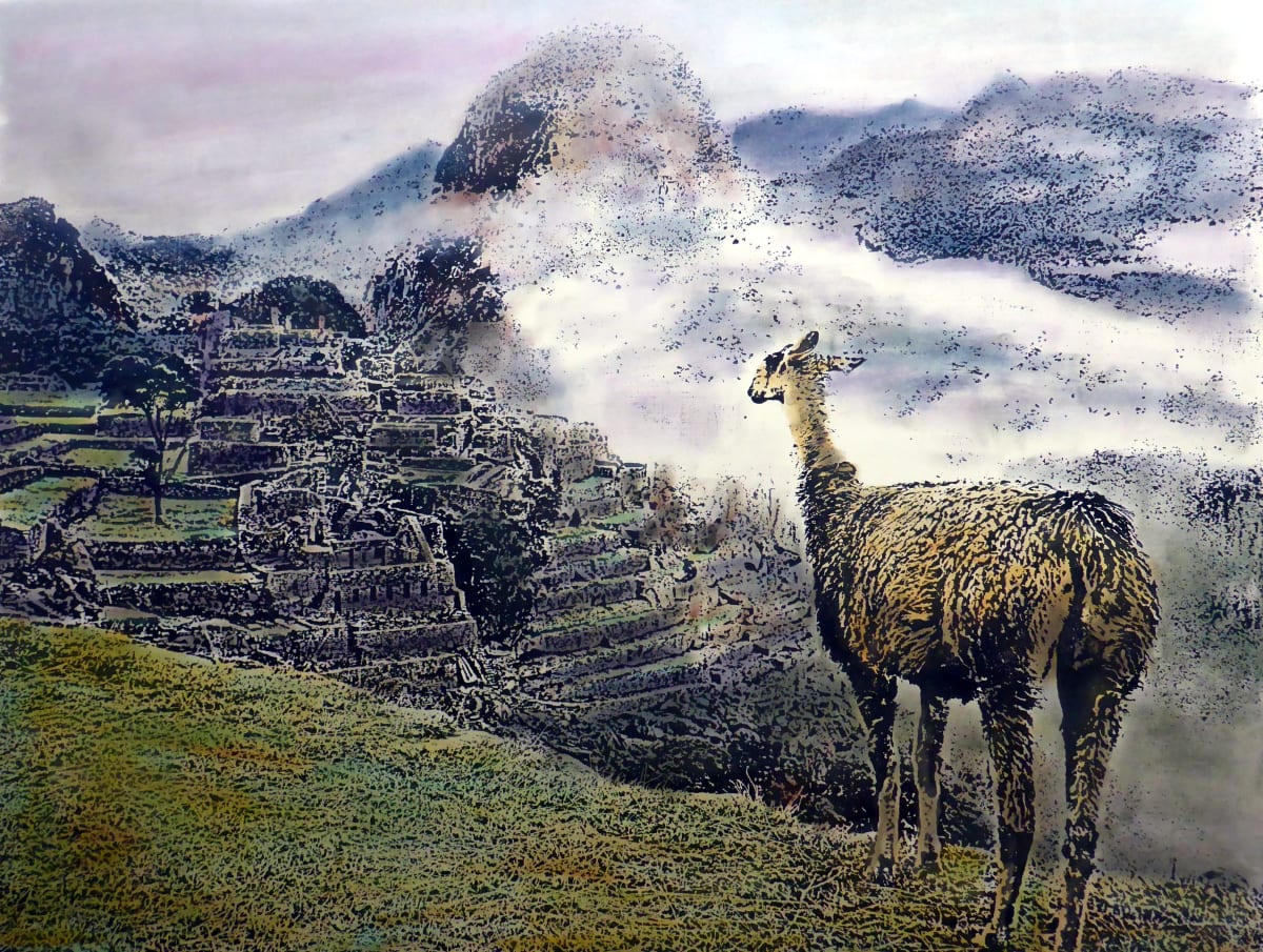 Machu Picchu by dennis gordon 